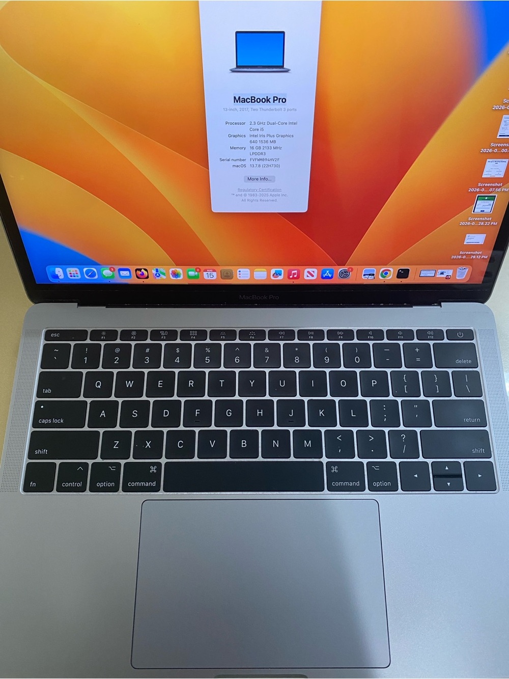 Apple MacBook Pro 2017 16 GB RAM 256 GB SSD Storage